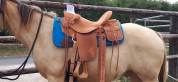 SELLE WESTERN WADE