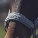 Licol Softshell Reflexx 2021 - Eskadron