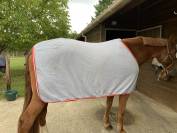 Chemise pour cheval