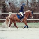 Tapis cheval Love GEM