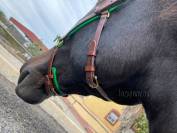 Cabezada serreta francesa de estilo barroco Lazypony