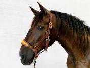 Muserola para cabezada de cuadra Lazypony, Hackamore