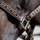 Licol Kentucky Pearls - Cuir artificiel