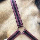 JMR Licol nylon doublé avec longe assortie