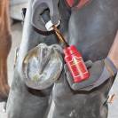 Lot de 2 Kevin Bacon’s Hoof Solution