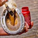 Lot de 2 Kevin Bacon’s Hoof Solution