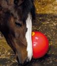 Jeux distributeur Likit Snack-a-Ball