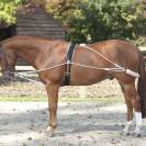 Enr&ecirc;nement en corde Pessoa Equestro