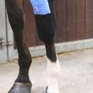 Bande pour chaussettes Tendon Grip - Kentucky