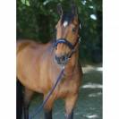 Licol en nylon 2022 - Covalliero