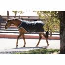 Chemise pour Marcheur Amigo - Horseware