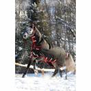 Couverture d'extérieur rambo supreme vari layer - Horseware