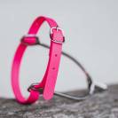 Laniere d'eperon biotane - Sprenger