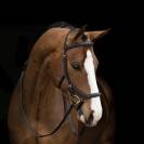 Bridon Rambo Micklem Deluxe competition - Horseware