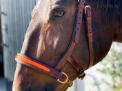 Leather sidepull Lazypony