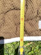 Tapis concours blanc 