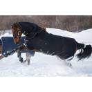 Couverture d'extérieur amigo super bravo plus - Horseware