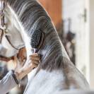 Brosse a crins double - Sprenger