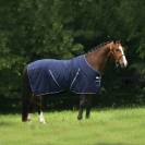 Chemise de box Rambo - Horseware