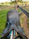 selle de dressage County