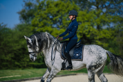 Tapis de selle ROYAL CLASSIC - Equestrian Stockholm