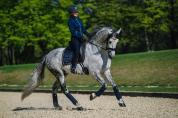 Tapis de selle ROYAL CLASSIC - Equestrian Stockholm