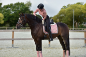 Tapis de selle PINK PEARL - Equestrian Stockholm