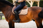Tapis de selle CHAMPAGNE - Equestrian Stockholm