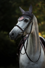 Bonnet anti-mouches Equestrian Stockholm - DUSTY PINK