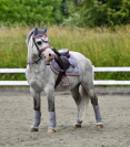 Tapis de selle Dusty pink - Equestrian Stockholm