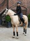 Tapis de selle Golden Brass - Equestrian Stockholm
