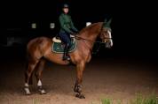 Tapis de selle Forest Green - Equestrian Stockholm