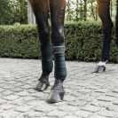 Bandes de polo avec bord cuir - Kentucky