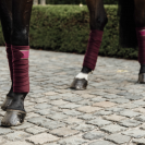 Bandes de polo avec bord cuir - Kentucky