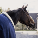 Couverture séchante Show Heavy - Kentucky