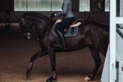 Tapis de selle No Boundaries Silver Cloud - Equestrian Stockholm