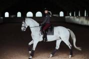 Tapis de selle No Boundaries Silver Cloud - Equestrian Stockholm