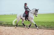 Tapis de selle No Boundaries Silver Cloud - Equestrian Stockholm