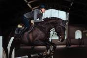 Tapis de selle No Boundaries Silver Cloud - Equestrian Stockholm