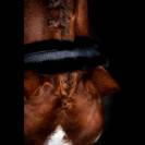 Licol Hollywood Glamorous SD DESIGN - Midnight Sparkle