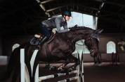 Bonnet anti-mouches Equestrian Stockholm - No Boundaries Silver Cloud