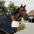 Horse Bib protection de poitrail - Kentucky