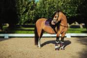 Tapis de selle Orchid Bloom - Equestrian Stockholm
