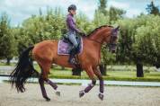 Tapis de selle Orchid Bloom - Equestrian Stockholm