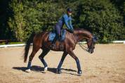 Bandes de polo Equestrian Stockholm - Monaco Blue