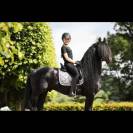 Tapis My Passion SD Design - Silver Glaze