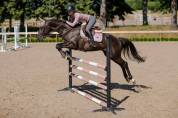 Tapis de selle Pink Crystal - Equestrian Stockholm