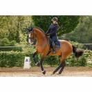 Bandes de polo Noomi - Spooks