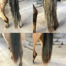 Démêlant Easy Shine - Ravene