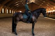 Tapis de selle Sycamore Green - Equestrian Stockholm